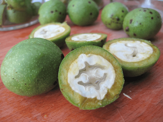 Green nuts: what diseases are treated, recipes