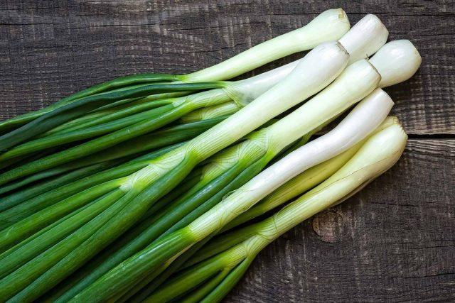 Green onions in a plastic bottle on the windowsill: how to grow at home, photo