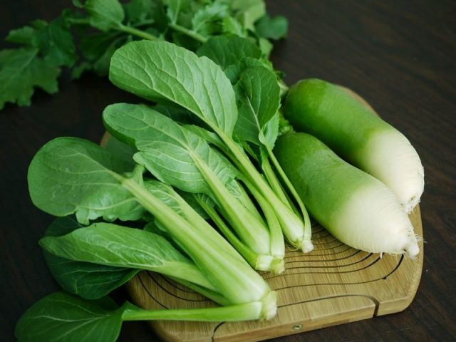 Green radish: useful properties and contraindications