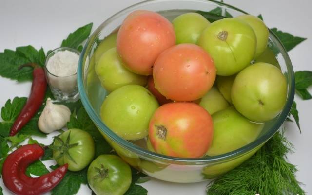 Green tomato blanks: recipes with photos