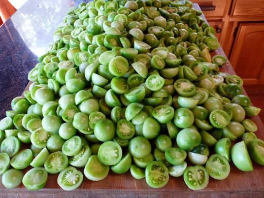 Green tomato blanks: recipes with photos