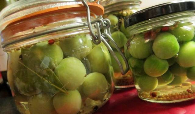 Green tomato blanks: recipes with photos