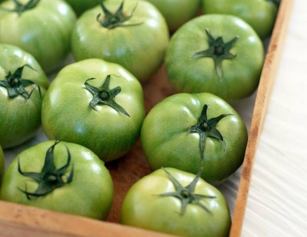 Green tomato blanks: recipes with photos