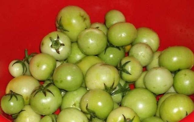 Green tomatoes barrel in a saucepan 