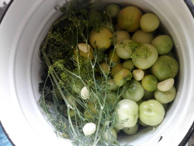 Green tomatoes barrel in a saucepan 