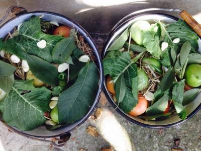 Green tomatoes barrel in a saucepan 