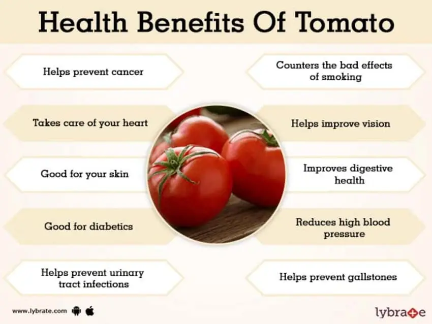 Green tomatoes: benefits and harms