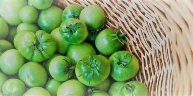 Green tomatoes with garlic without vinegar