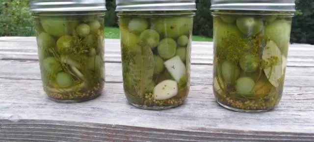 Green tomatoes with mustard for the winter