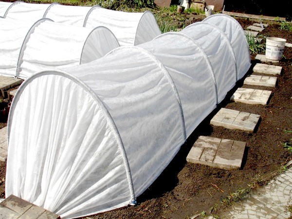 Greenhouse Accordion with covering material: description