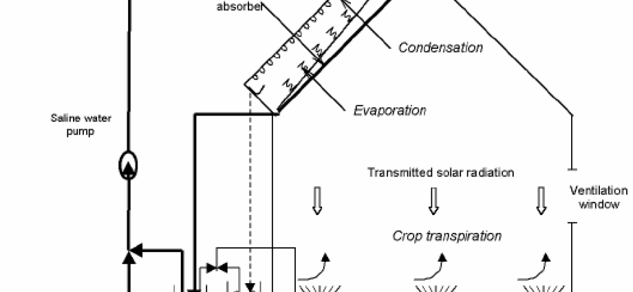 Greenhouse Accordion with covering material: description