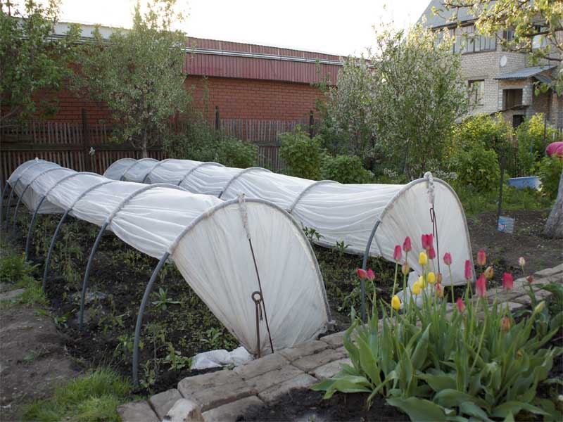 Greenhouse beautiful cottage: design features