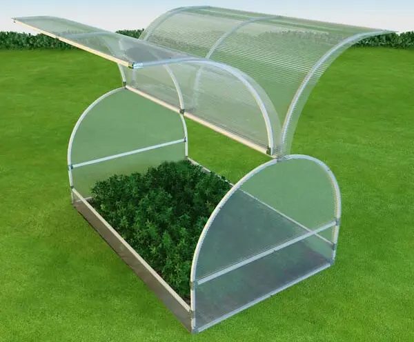 Greenhouse Butterfly: advantages and benefits of building