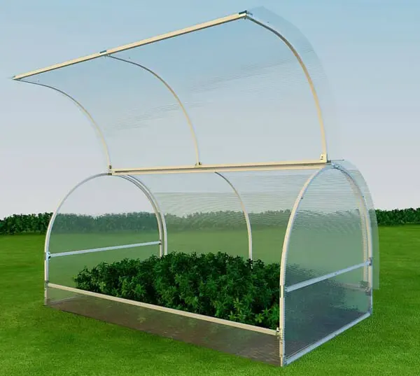 Greenhouse Butterfly: advantages and benefits of building