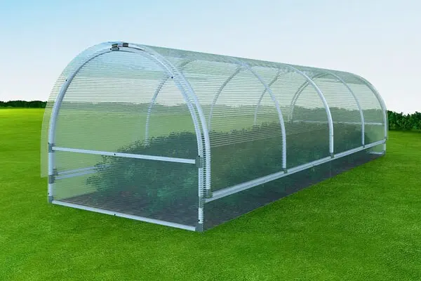 Greenhouse Butterfly: advantages and benefits of building