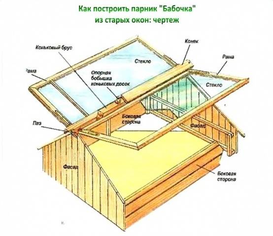 Greenhouse Butterfly do-it-yourself + drawings