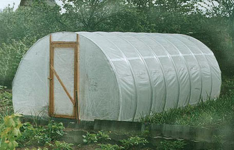 Greenhouse cucumber: advantages and construction of the structure