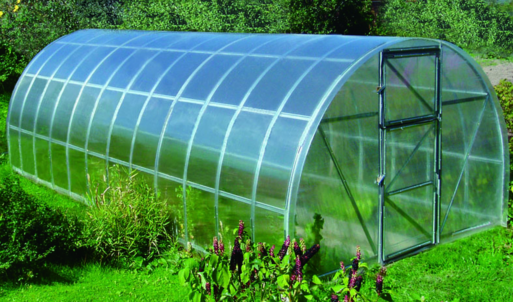 Greenhouse cucumber: advantages and construction of the structure