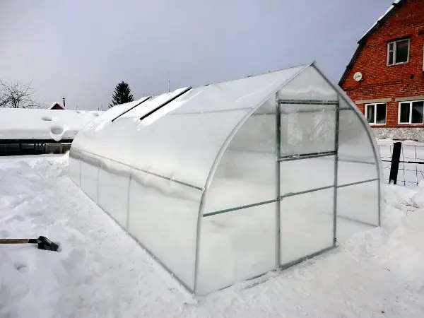 Greenhouse Droplet: the pros and cons of the design