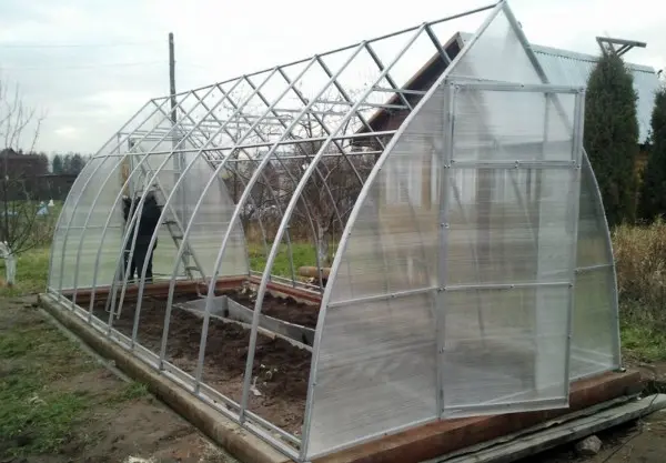 Greenhouse Droplet: the pros and cons of the design