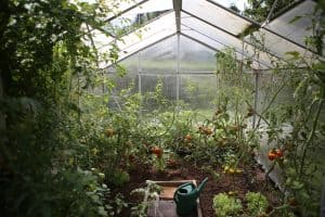 Greenhouse Droplet: the pros and cons of the design