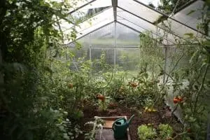 Greenhouse Droplet: the pros and cons of the design