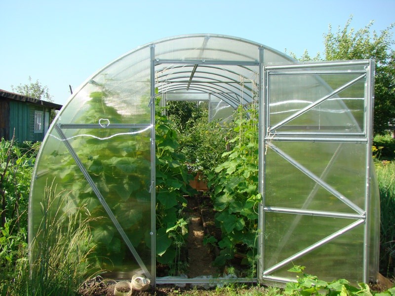 Greenhouse harvest: pros and cons, installation design