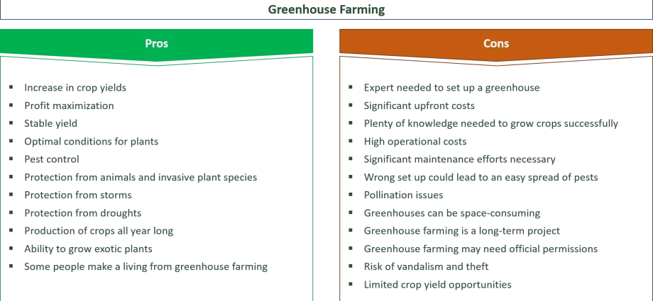 Greenhouse harvest: pros and cons, installation design