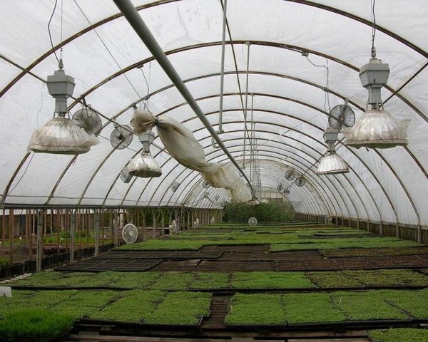 Greenhouse heater: how to choose and install