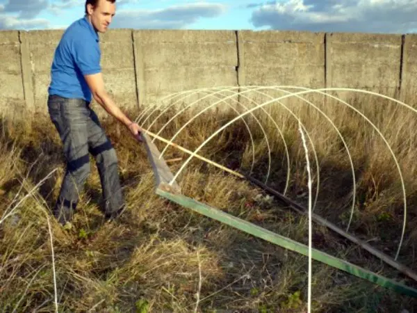 Greenhouse made of fiberglass reinforcement: advantages