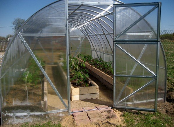 Greenhouse Maria deluxe: features and assembly of a greenhouse