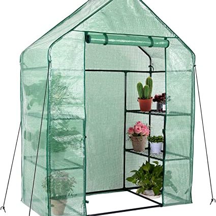 Greenhouse Maria deluxe: features and assembly of a greenhouse