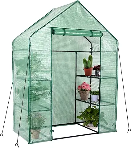 Greenhouse Maria deluxe: features and assembly of a greenhouse