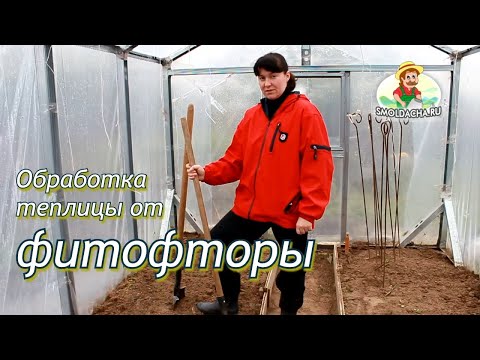 Greenhouse processing from phytophthora in autumn