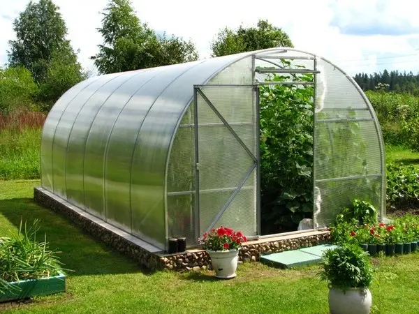 Greenhouse Shell: do it yourself easily and economically