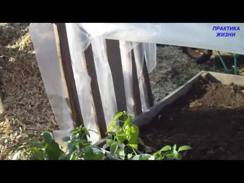 Greenhouse Shell: do it yourself easily and economically