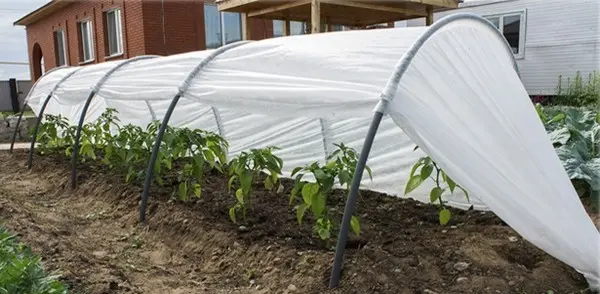 Greenhouses from arcs with covering material: manufacturing