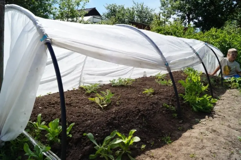 Greenhouses from arcs with covering material: manufacturing