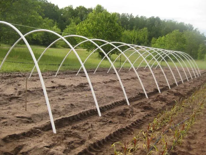 Greenhouses from arcs with covering material: manufacturing