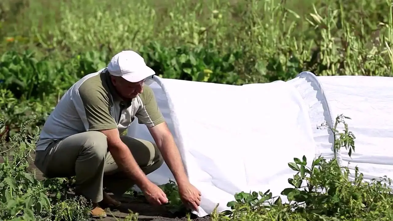 Greenhouses from arcs with covering material: manufacturing