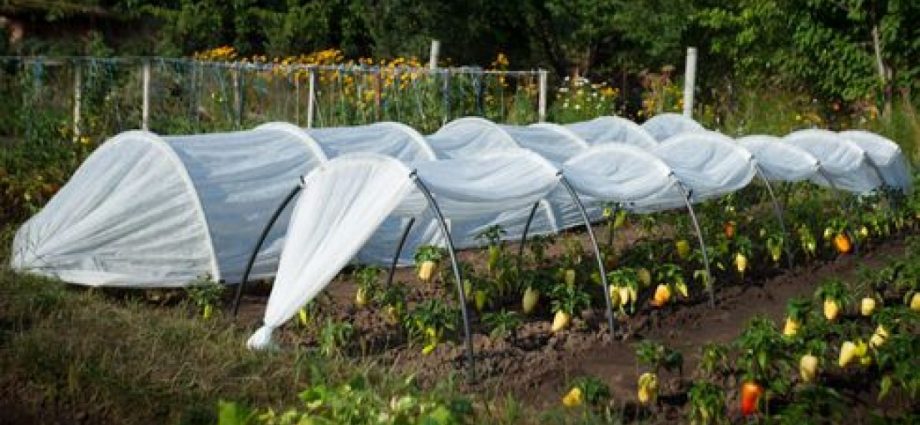 Greenhouses from arcs with covering material: manufacturing