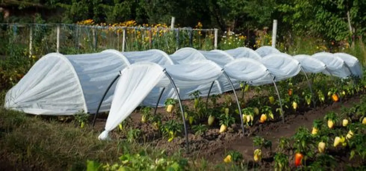 Greenhouses from arcs with covering material: manufacturing