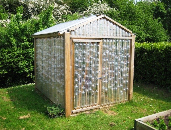 Greenhouses from plastic bottles: a master class with a photo