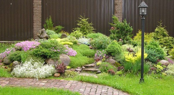 Ground cover perennials: how to decorate the site with their help?