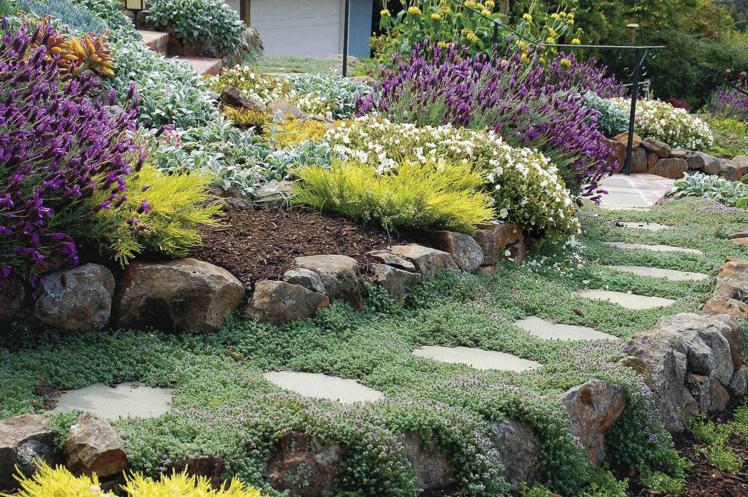 Ground cover perennials: how to decorate the site with their help?