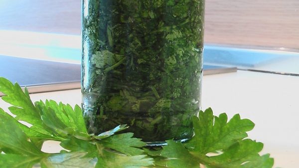 Growing and caring for cilantro: how to plant greens at home