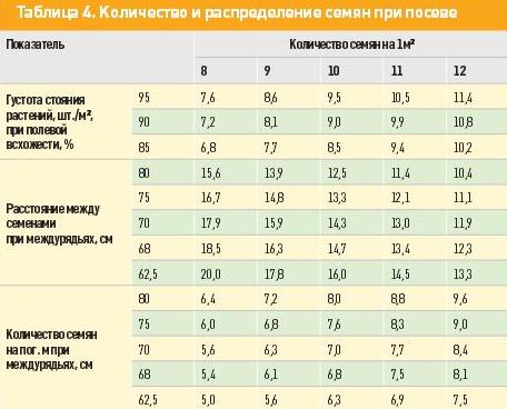 Норма высева подсолнечника кг