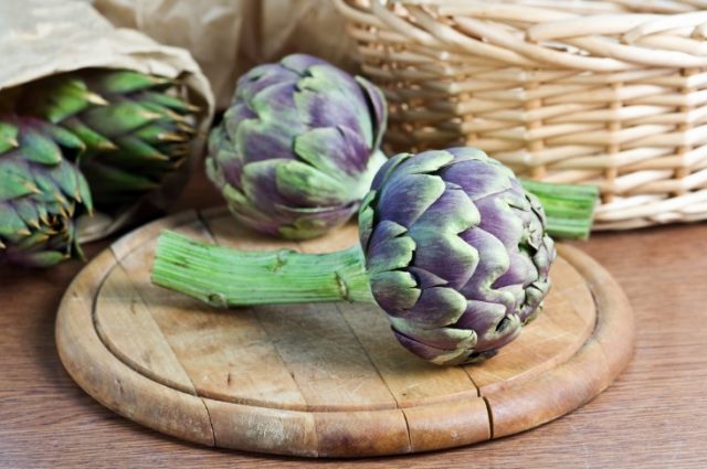 Growing artichoke from seed