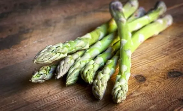 Growing asparagus from seeds in the country: recommendations