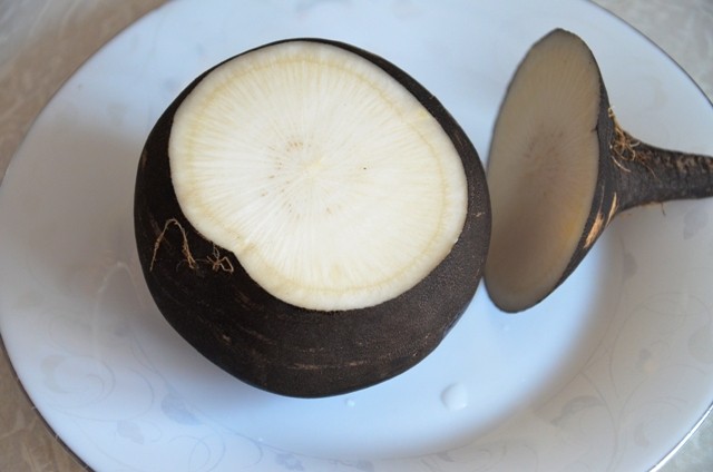 Growing black radish in open ground